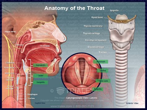 Deep Throat Erotic massage Vyronas
